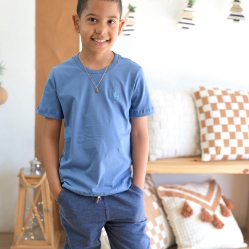 Camisa básica azul setenity