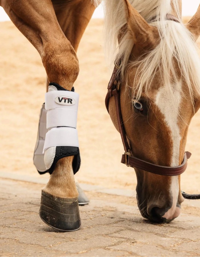 CANELEIRA DE COURO VELCRO VTR