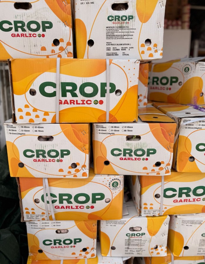 CAIXA DE ALHO CROP Nº