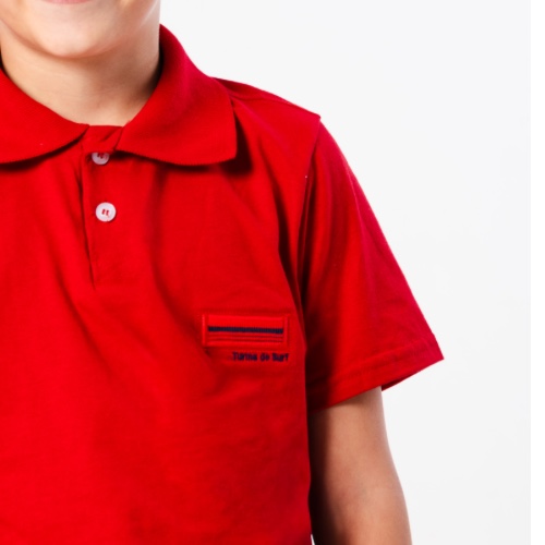 CAMISA POLO PUNHO 