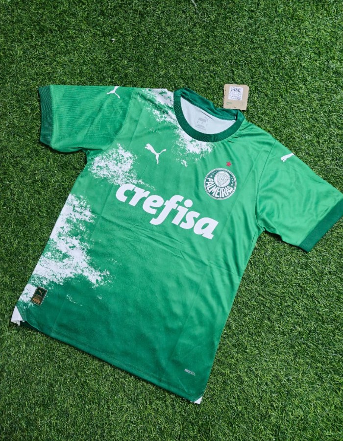 Camisa Palmeiras Desmatamento Masculino 24/25