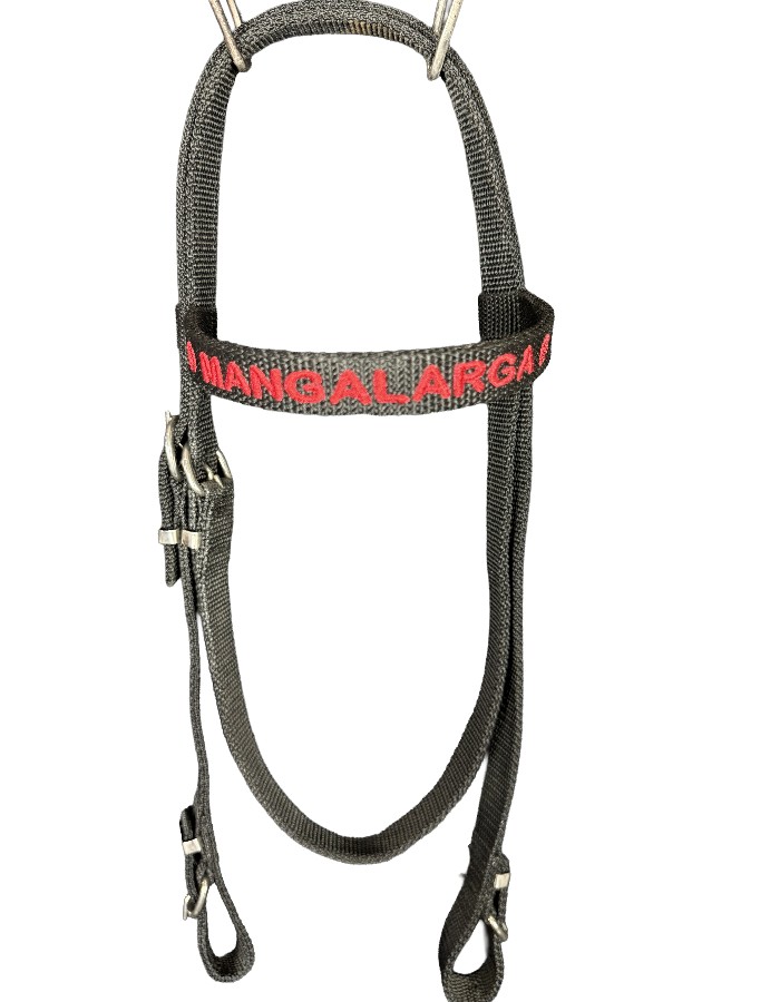 CABEÇADA MANGALARGA DE FITA 