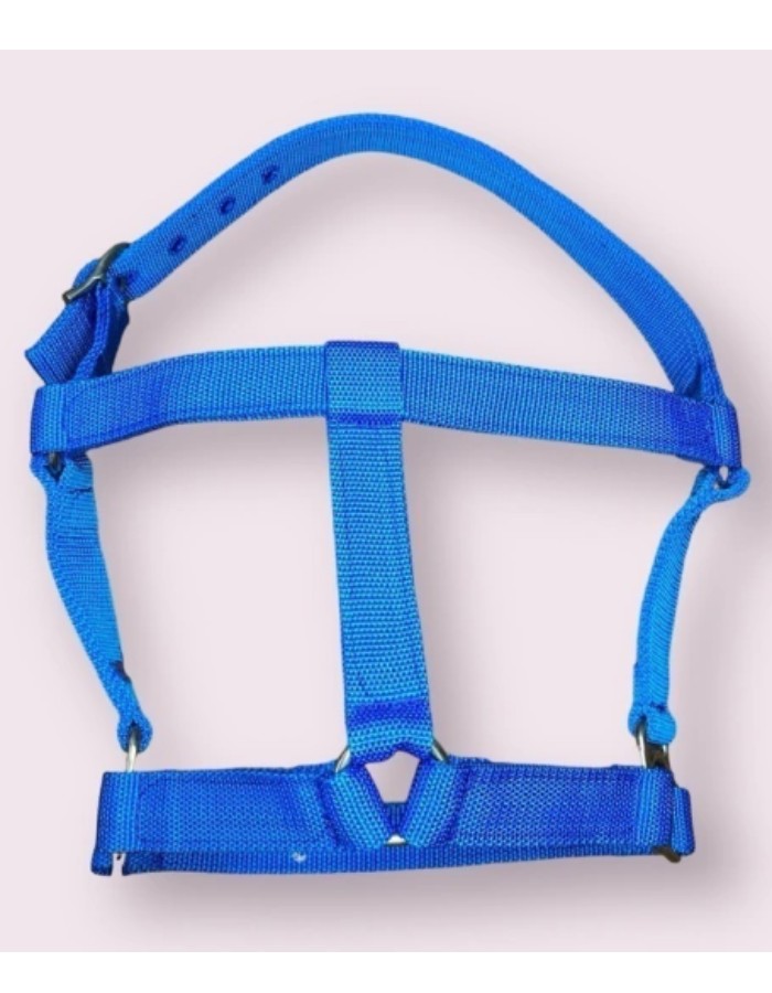 CABRESTO FITA QM POTRO