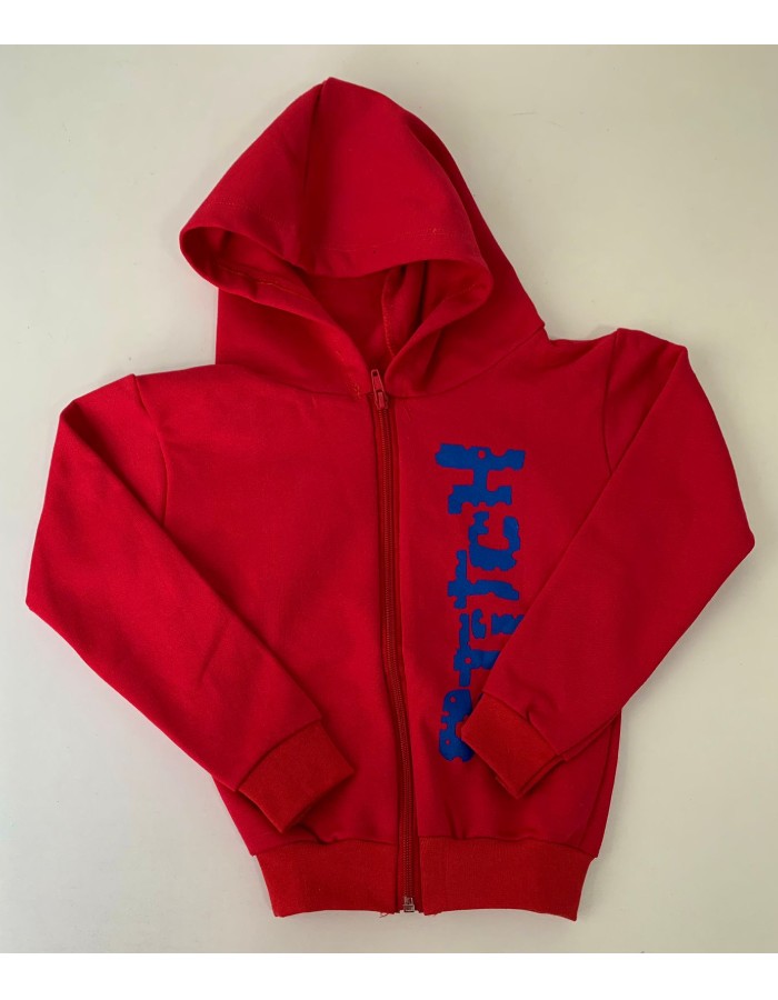 CASACO MOLETOM COM ZIPER INFANTIL