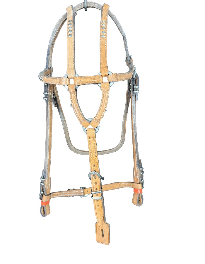 CABEÇADA BOA 4 PIOLHO COM QUEIXEIRA 