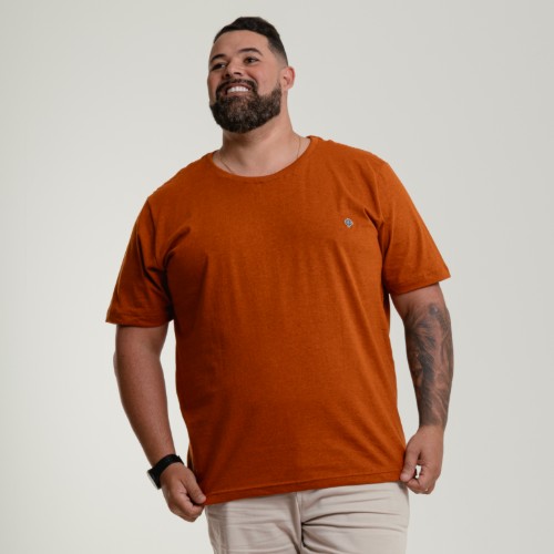 Plus Size Básica Mescla