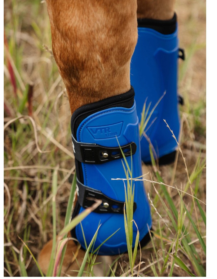 CANELEIRA ATRIA PINO VTR