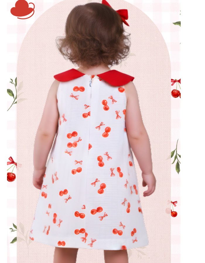 Produto cavb-25024 1