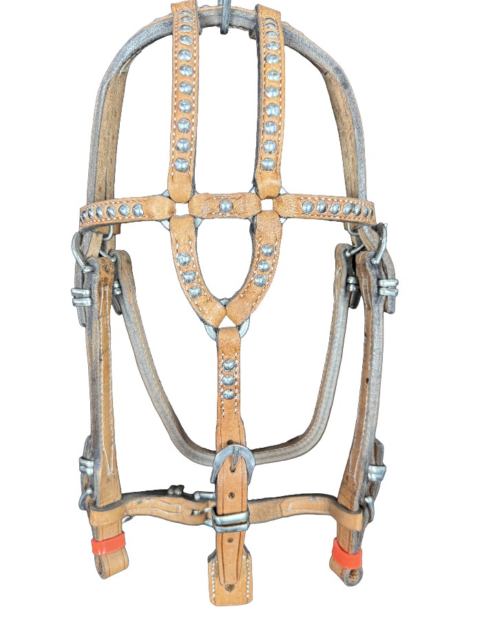 CABEÇADA BOTÃOZINHO PÔNEI