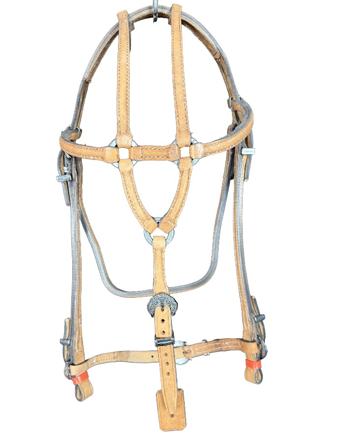 CABEÇADA BOA FIVELA AMERICANA