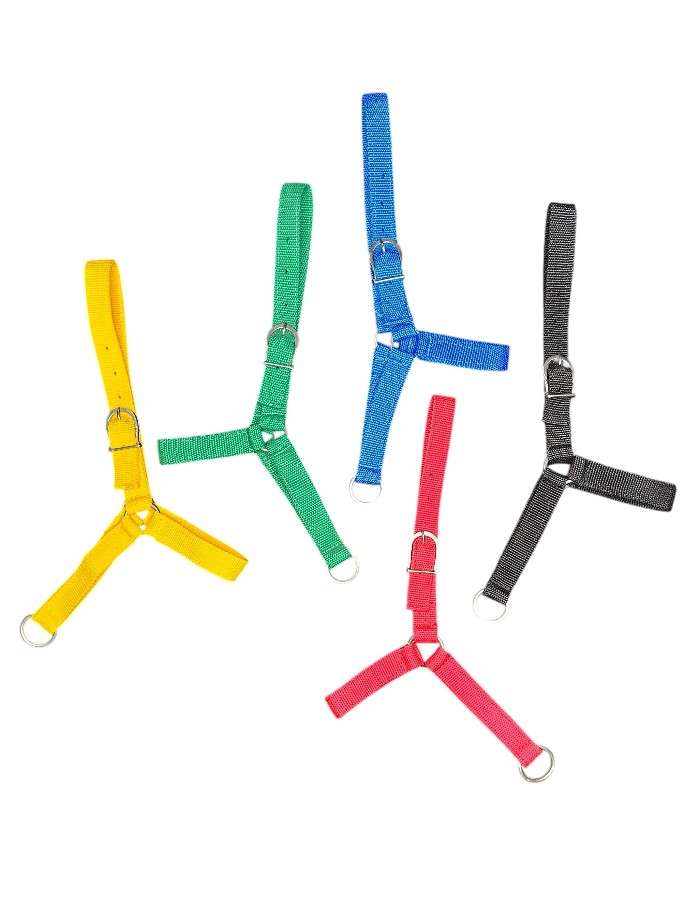 CABRESTO FITA BEZERRO