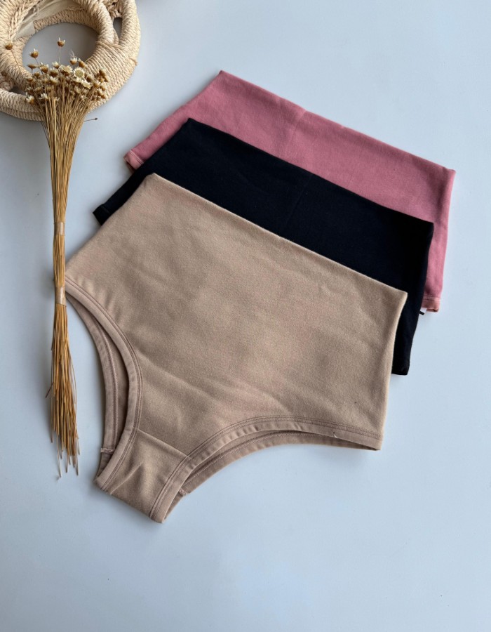 CALCINHA ALGODAO CINTURA ALTA REF 027