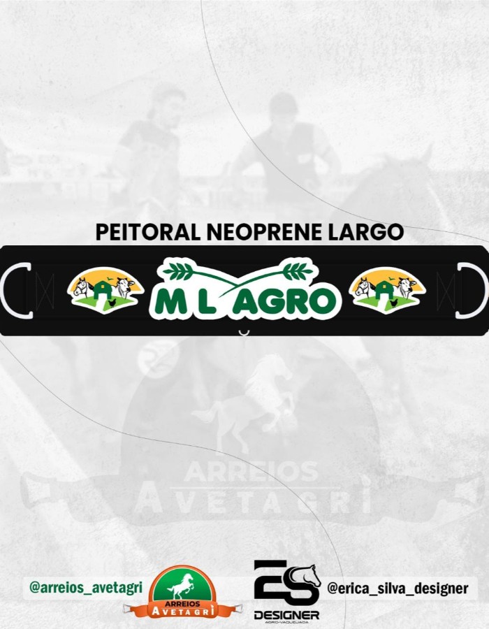 Personalização Peitoral