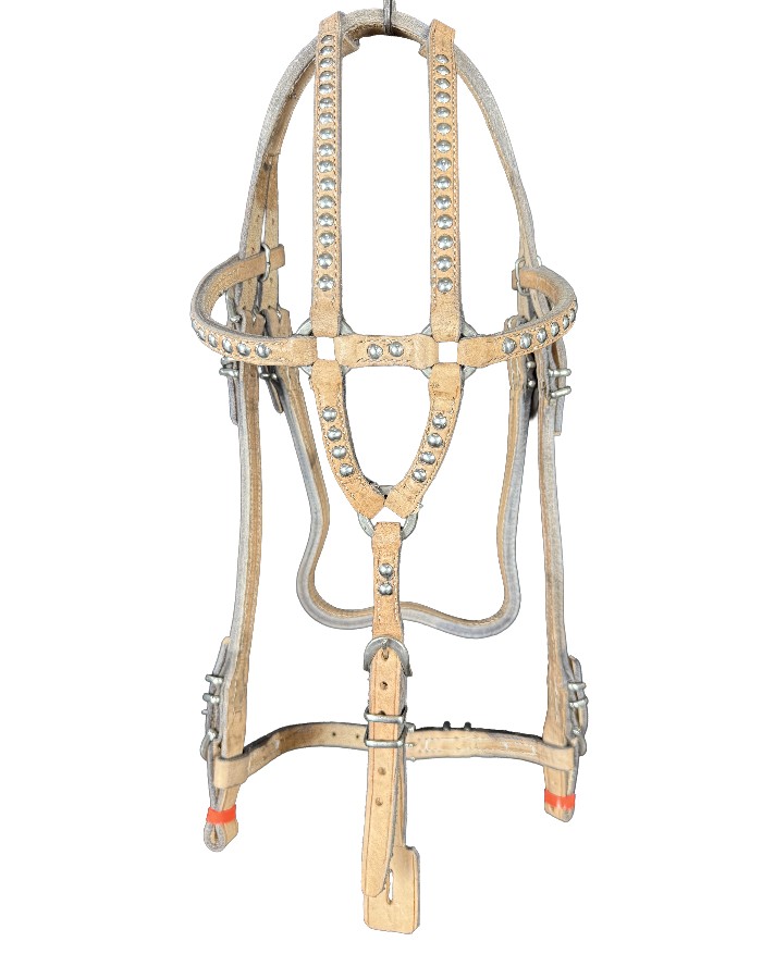 CABEÇADA BOA DE BOTÃOZINHO