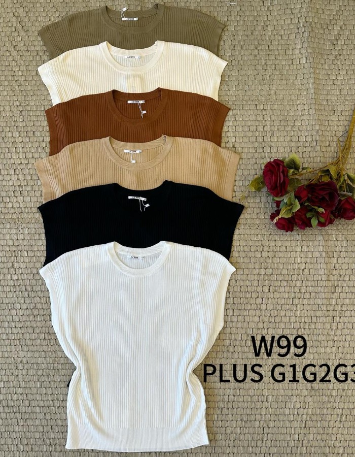 BLUSA FRAN