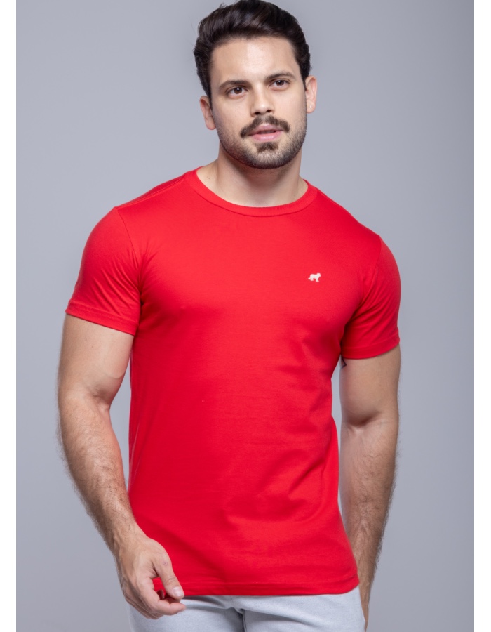 BÁSICA APLIQUE LUMINOSO