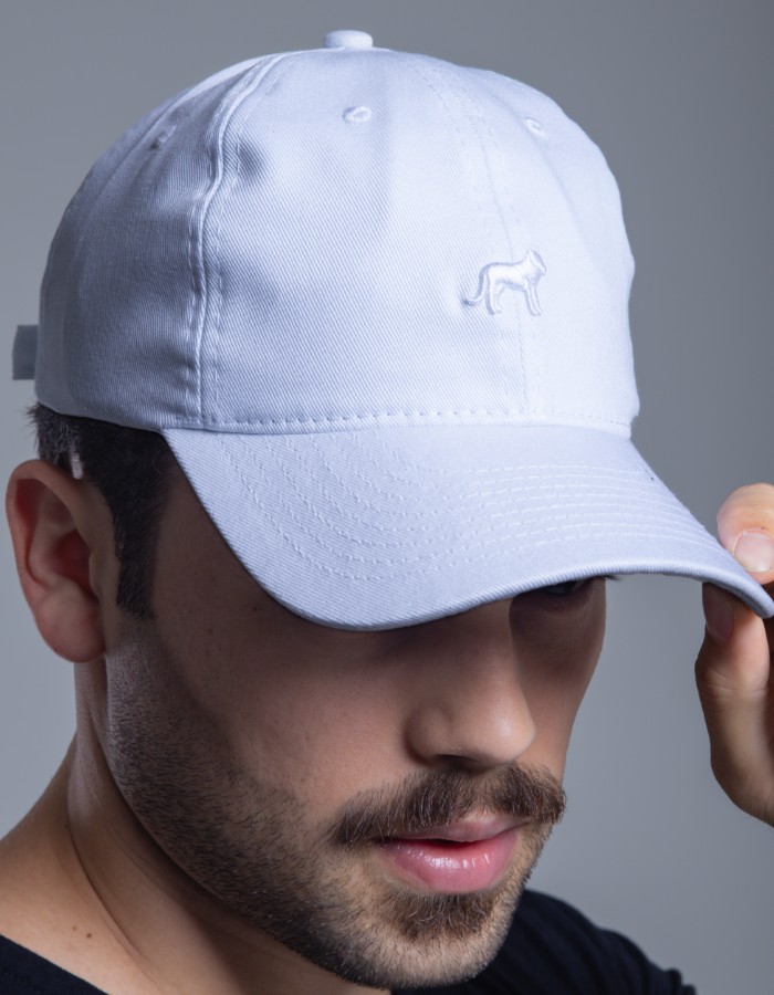 BONÉ DAD HAT