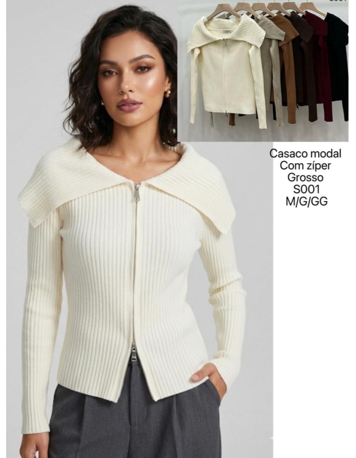 Blusa