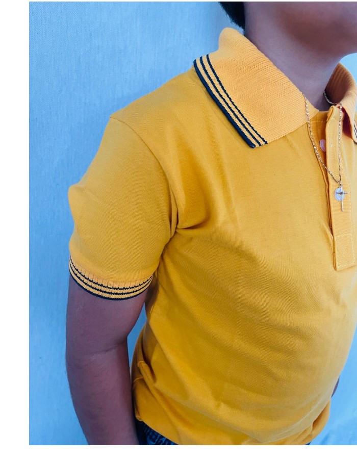 CAMISA GOLA POLO