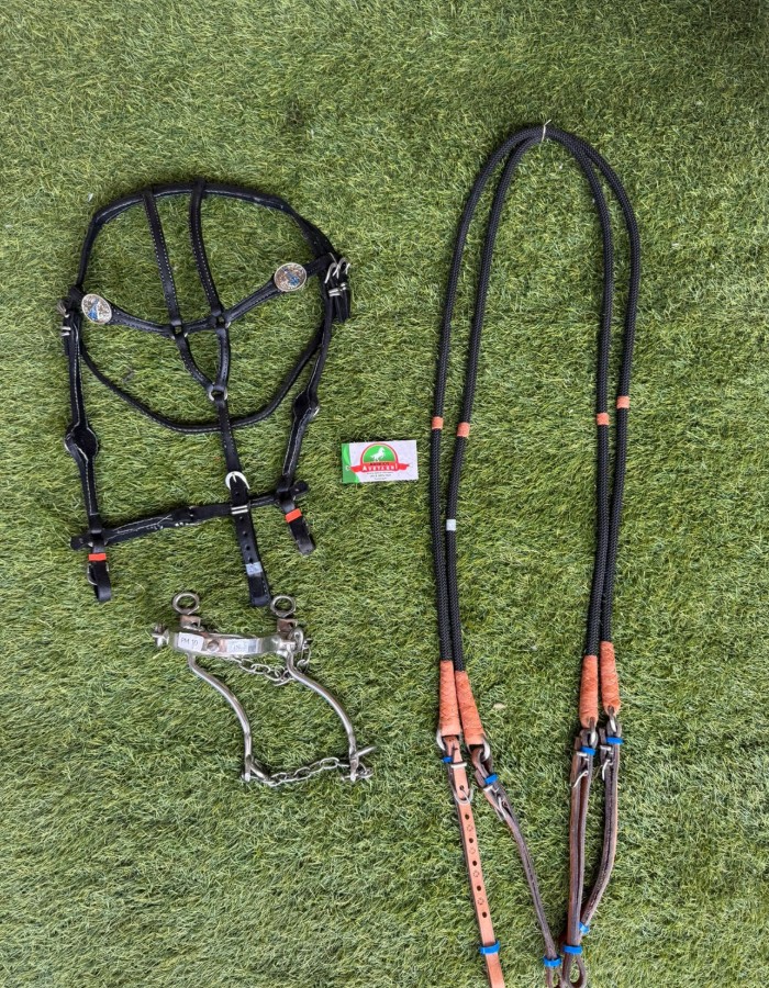 KIT PROFISSIONAL VAQUEJADA